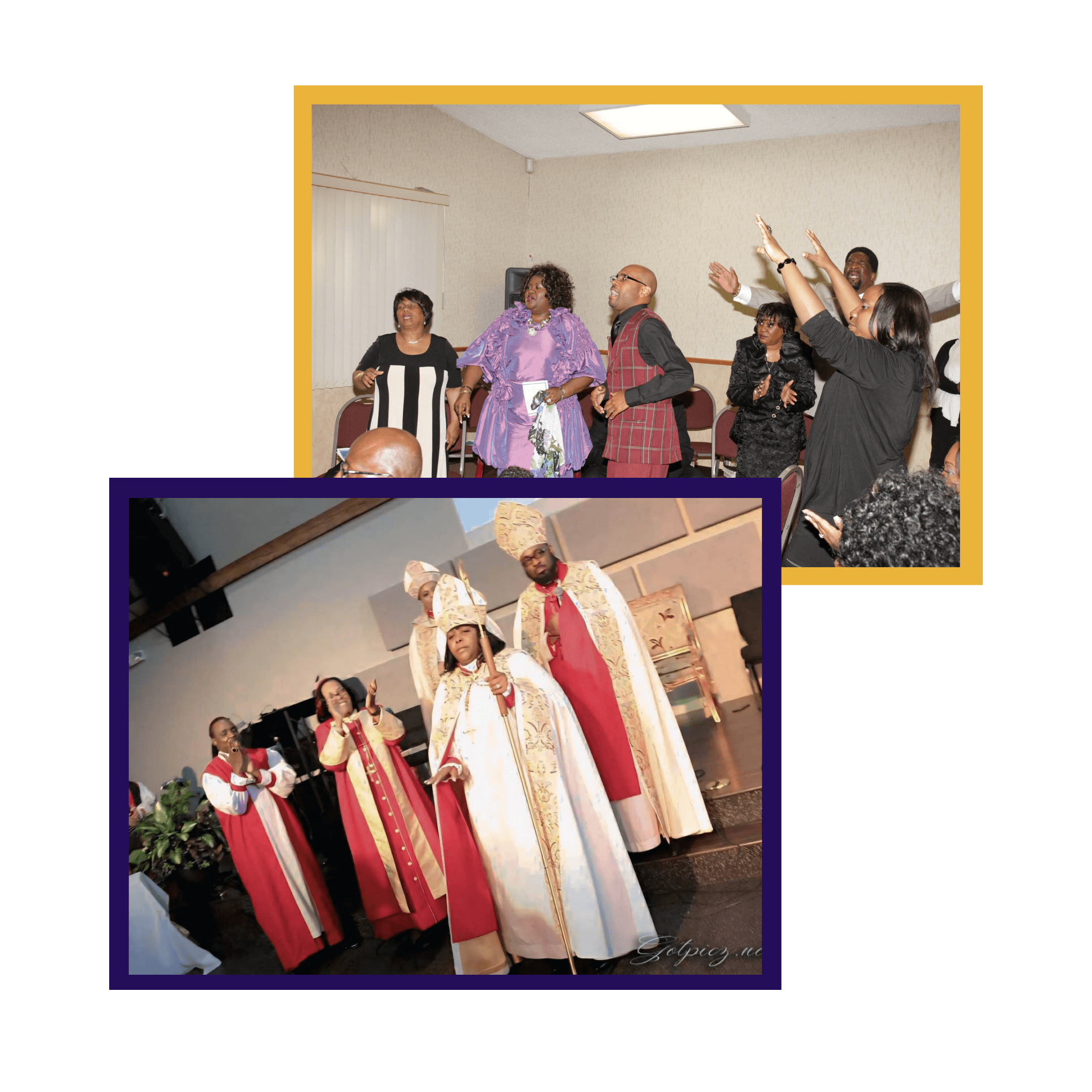 brown tan funny cute dog selfie joke meme instagram post (25) (1)